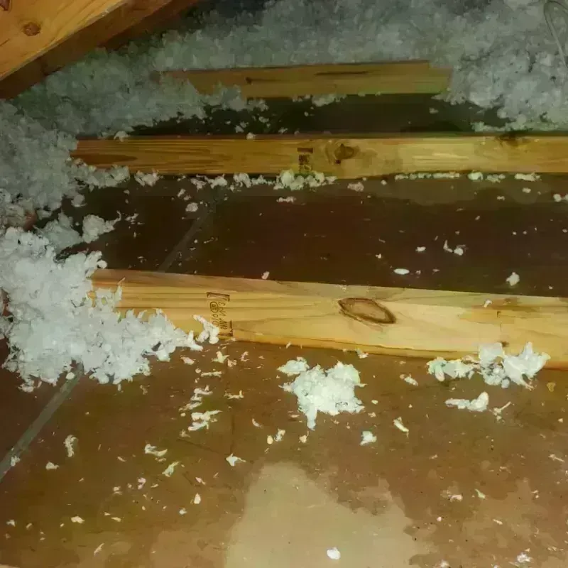 Attic Water Damage in Westmorland, CA